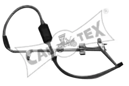 cautex-017041