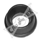 cautex-020043
