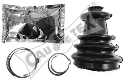 cautex-020213