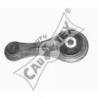 cautex-020462