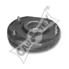 cautex-020531