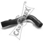 cautex-466011