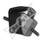 cautex-021104
