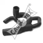 cautex-026005