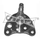 cautex-461006