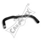 cautex-036409