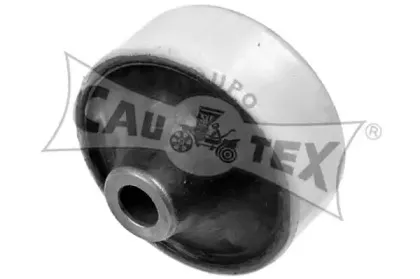 cautex-482523