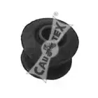 cautex-482501