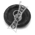 cautex-080875