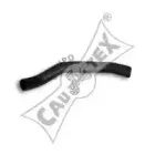 cautex-036391