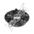 cautex-461275