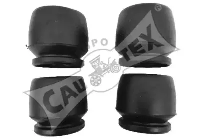 cautex-010222