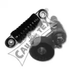 cautex-030951