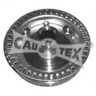 cautex-461020