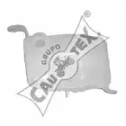 cautex-954119