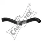 cautex-466015