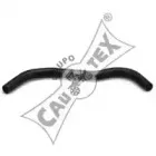 cautex-466017