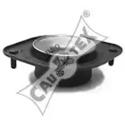 cautex-460121