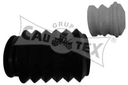 cautex-201562