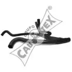 cautex-026124