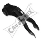 cautex-461149