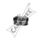 cautex-030908