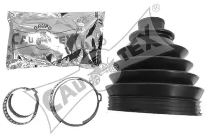 cautex-030607