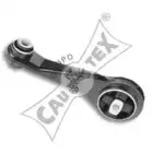 cautex-020516