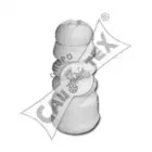 cautex-461201