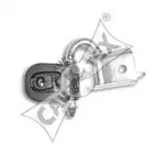 cautex-462409