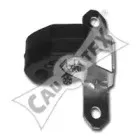 cautex-462406