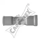 cautex-461105