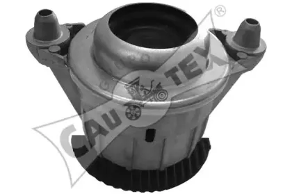 cautex-181071