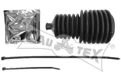 cautex-020104