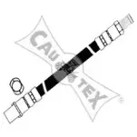 cautex-081101