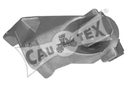 cautex-020491