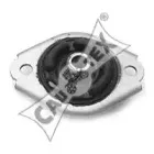 cautex-010593