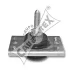 cautex-020511