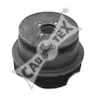 cautex-010761