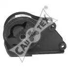cautex-010744