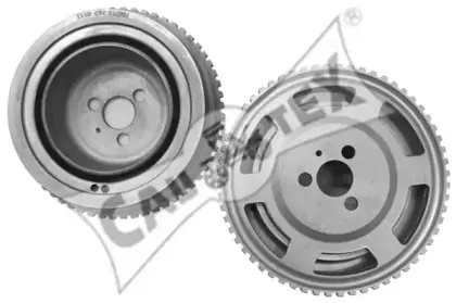 cautex-010981