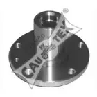 cautex-011024
