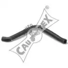 cautex-026311