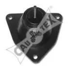 cautex-020900
