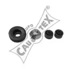 cautex-020122