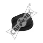 cautex-020128