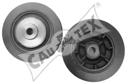 cautex-020909