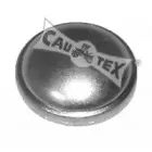 cautex-951017