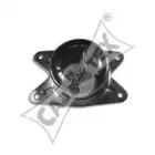 cautex-480571