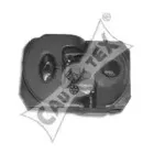 cautex-030907